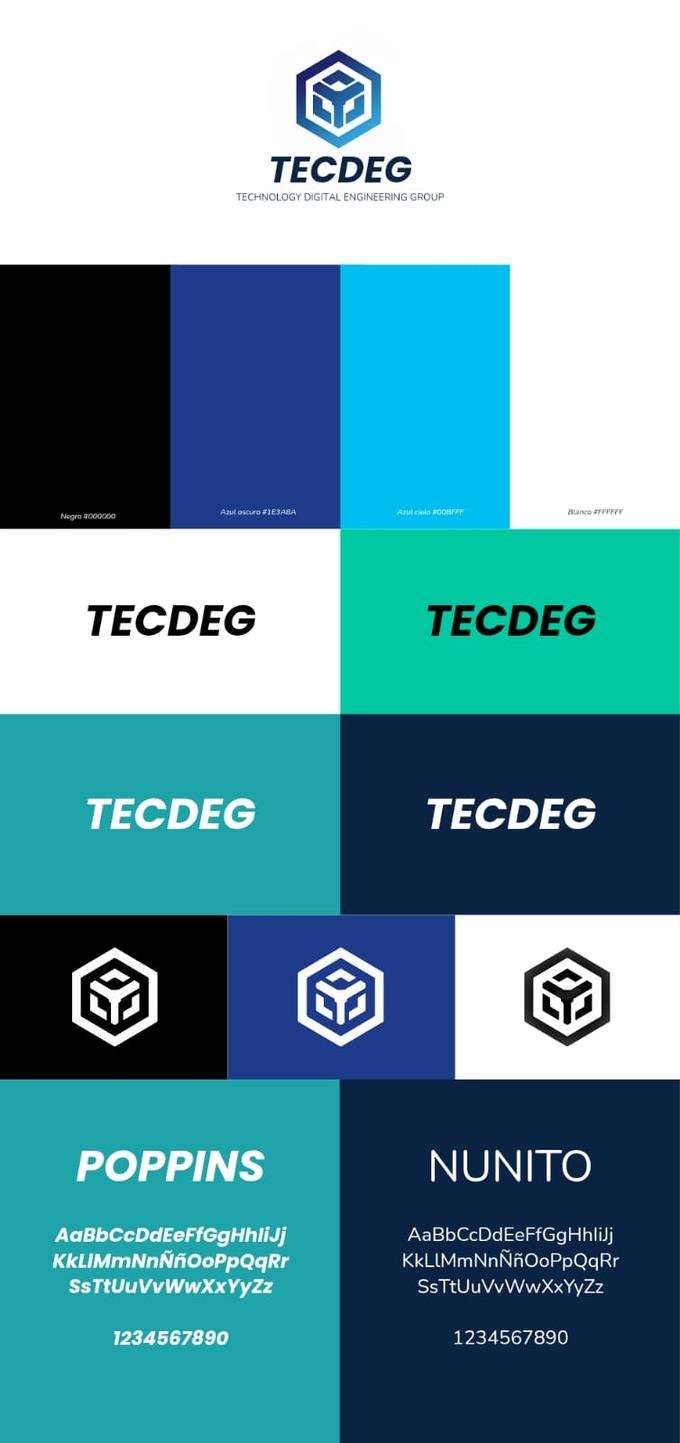 TECDEG visual system